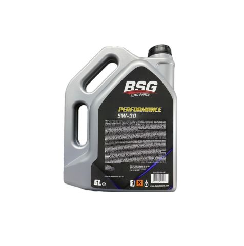 BSG 99-998-081