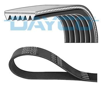DAY 6PK2550