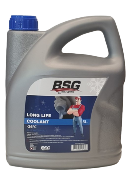 BSG 99-994-011